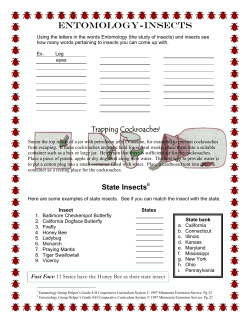 ENTOMOLOGY-iNSECTS - Utah 4-H