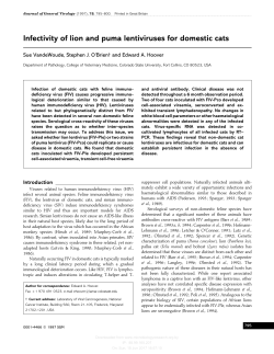 Infectivity of lion and puma lentiviruses for domestic cats