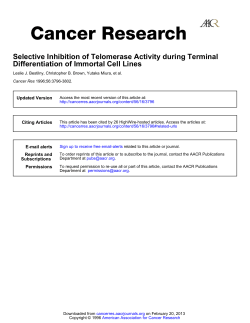 Selective Inhibition of Telomerase Activity during Terminal