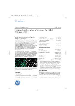 Micronucleus formation analysis on the IN Cell Analyzer 1000