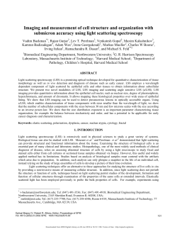 Imaging and measurement of cell structure and organization with