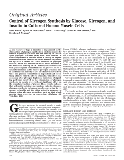 Original Articles Control of Glycogen Synthesis by