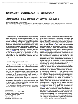 Apoptotic cell death in renal disease