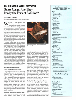 Grass Carp: Are They Really the Perfect Solution?