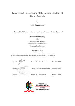 Ecology and Conservation of the African Golden Cat Caracal aurata