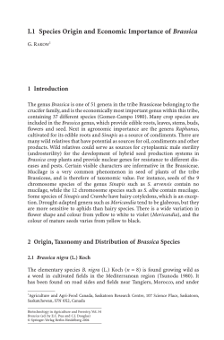 I.1 Species Origin and Economic Importance of Brassica