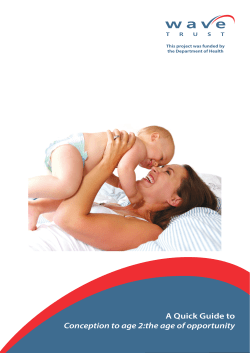 A Quick Guide to Conception to age 2:the age of