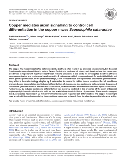 Copper mediates auxin signalling to control cell differentiation in the