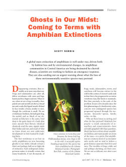 Ghosts in Our Midst: Coming to Terms with Amphibian