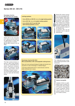Catalogue chapter
