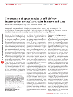 The promise of optogenetics in cell biology: interrogating molecular