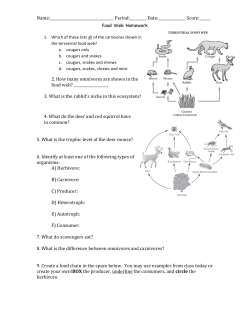 Food Web Homework 2