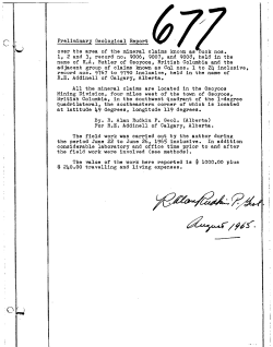 Preliminary Geological Report - over the area of the mineral claims