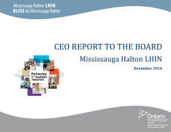 CEO Report - Mississauga Halton LHIN