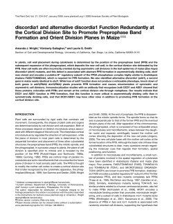 discordia1 and alternative discordia1 Function Redundantly at the