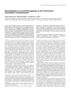 Generalization to Local Remappings of the Visuomotor Coordinate