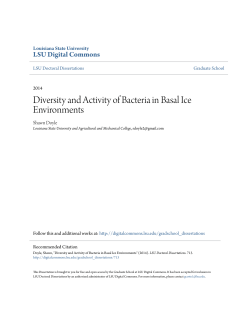 Diversity and Activity of Bacteria in Basal Ice Environments