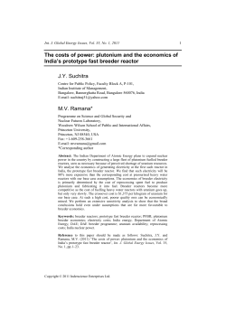 The costs of power: plutonium and the economics of India`s