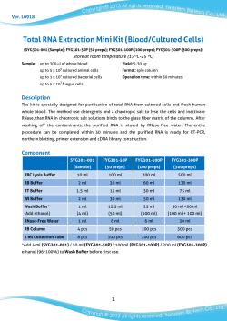Total RNA Extraction Mini Kit (Blood/Cultured Cells)