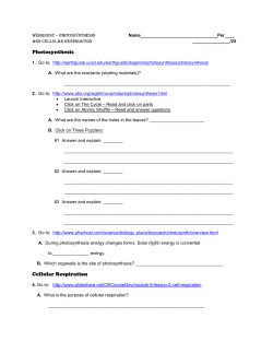 Photosynthesis Cellular Respiration