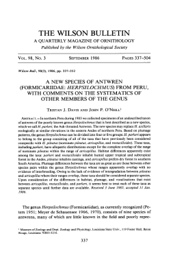 a new species of antwren (formicariidae: herpsilochmus)