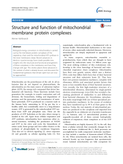 Structure and function of mitochondrial membrane protein