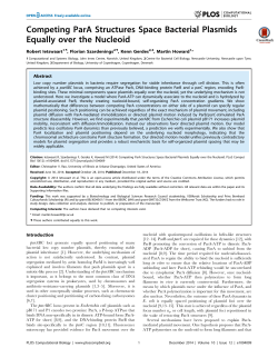 Competing ParA Structures Space Bacterial Plasmids Equally over