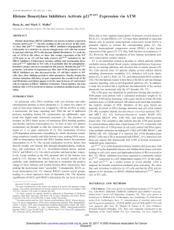 Histone Deacetylase Inhibitors Activate