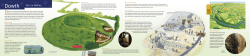 information sheet on Dowth [PDF 302KB]