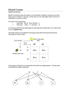 Dihybrid Crosses