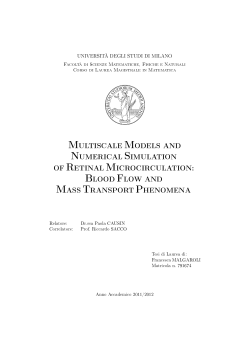 multiscale models and numerical simulation of retinal