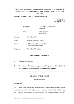 Adam Mark Johnson Appeal Notes