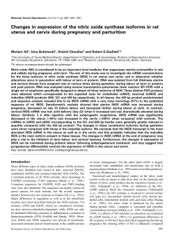Changes in expression of the nitric oxide synthase isoforms in rat