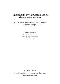 Functionality of Wet Grasslands as Green Infrastructure