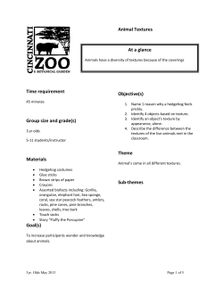 Animal Textures Objective(s)