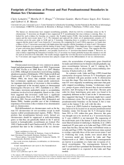 Footprints of Inversions at Present and Past Pseudoautosomal