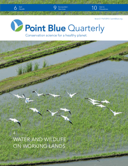 Quarterly - Point Blue Conservation Science