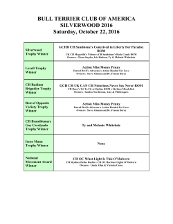 Silverwood Results - Bull Terrier Club of America