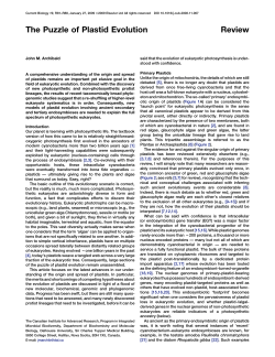 The Puzzle of Plastid Evolution