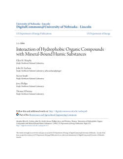 Interaction of Hydrophobic Organic Compounds with Mineral