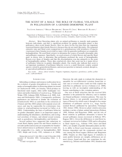 the scent of a male: the role of floral volatiles in pollination of