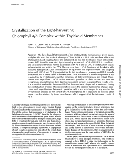Crystallization of the Light-harvesting Chlorophyll a/b Complex