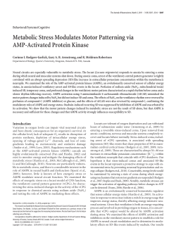 Metabolic Stress Modulates Motor Patterning via AMP