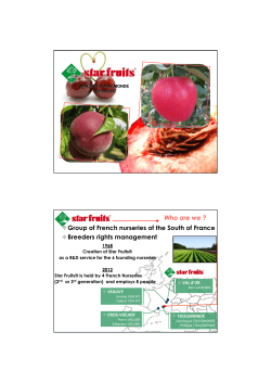 Group of French nurseries of the South of France >Breeders