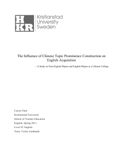 Chen Caicai D-essay