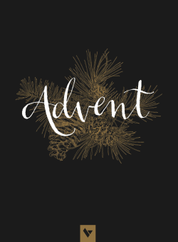 The Village Church 2016 Advent Guide.