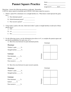 Punnet Square Practice