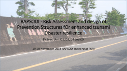 RAPSODI -Risk Assessment and design of Prevention