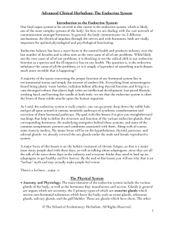 Endocrine System - School of Evolutionary Herbalism