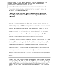 The Effects of Job Insecurity on Job Satisfaction